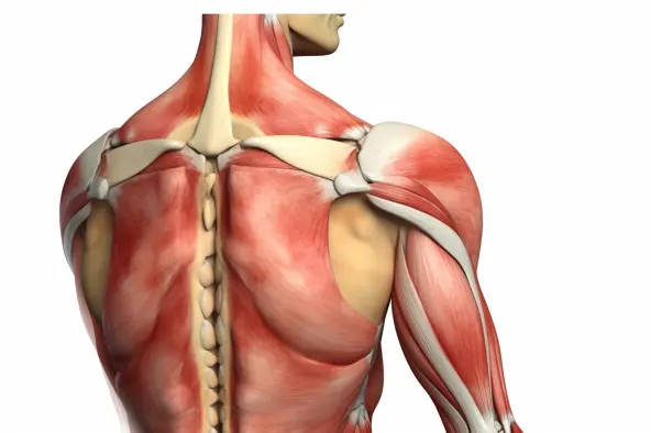 Tratamentos para a dor nas juntas do ombro