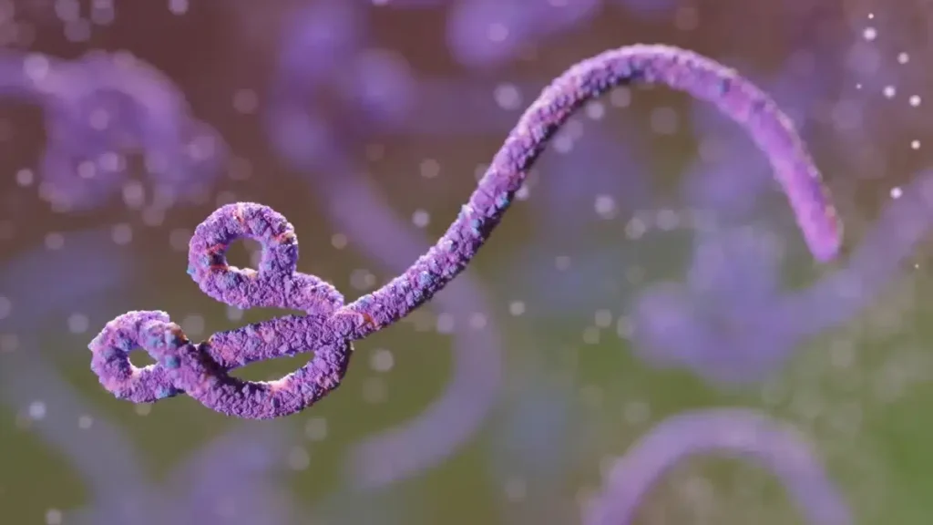Ebola no Congo é 2ª maior epidemia da história